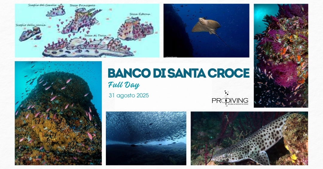 COPERTINE PER EVENTI PRODIVING