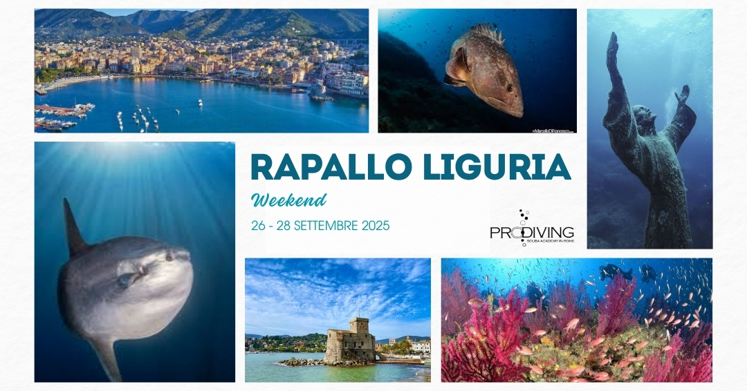 RAPALLO LIGURIA