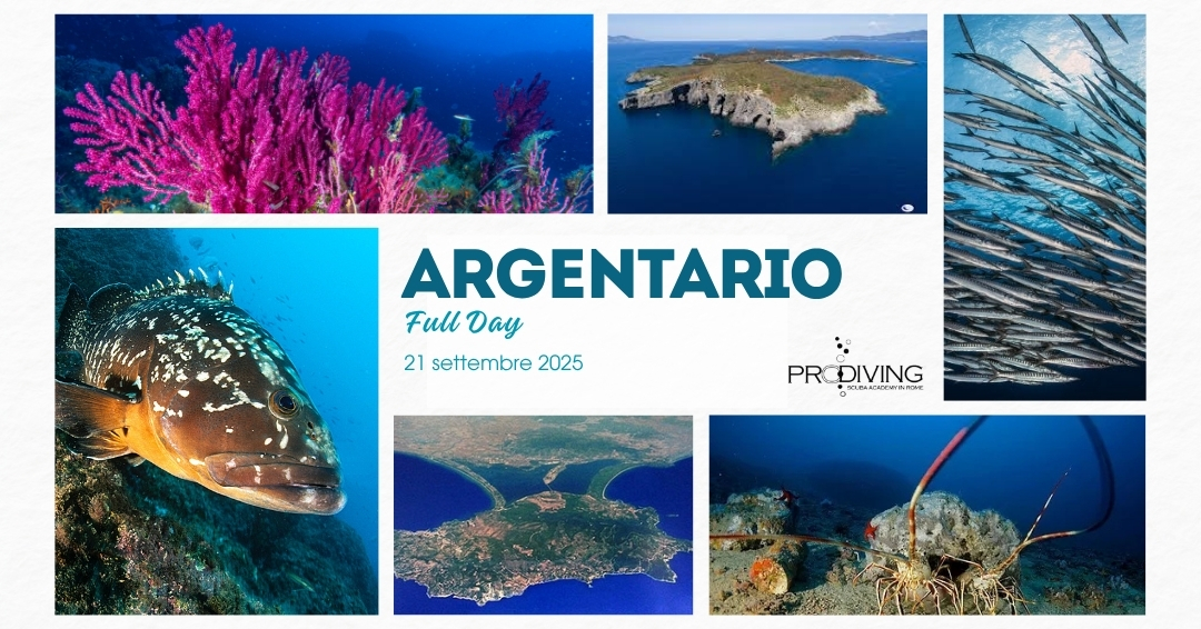 ARGENTARIO