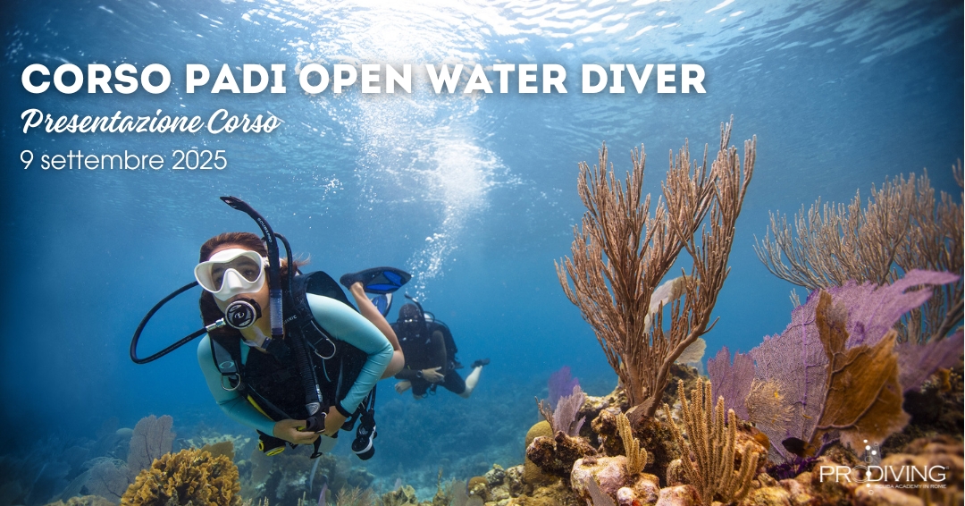 PADI NOPEN WATER DIVER