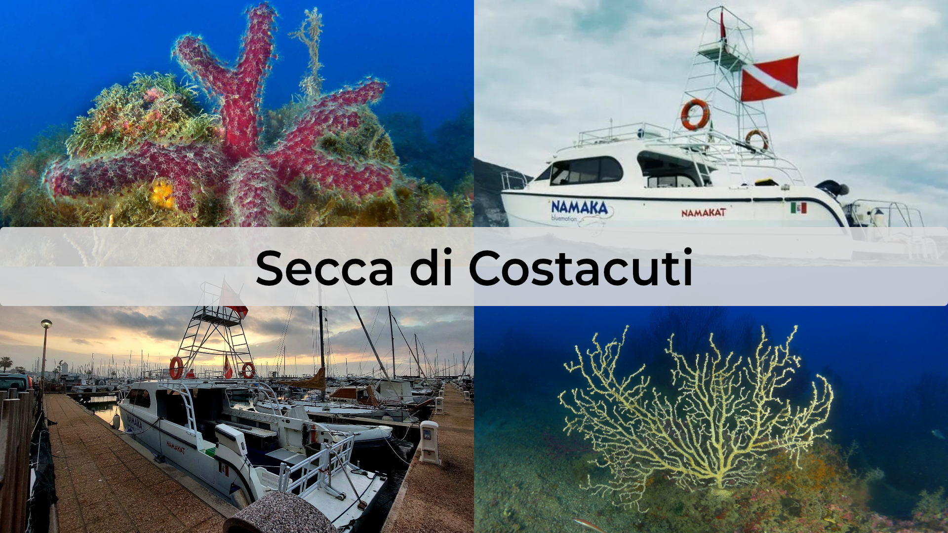Banner Immersione Costacuti