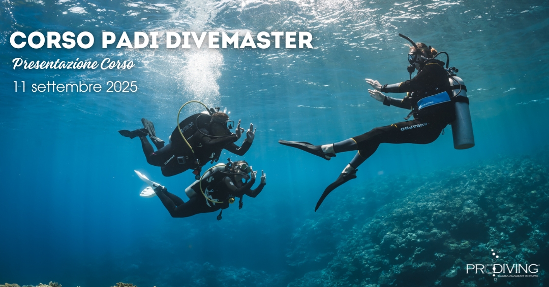 PADI RESCUE DIVER (3)