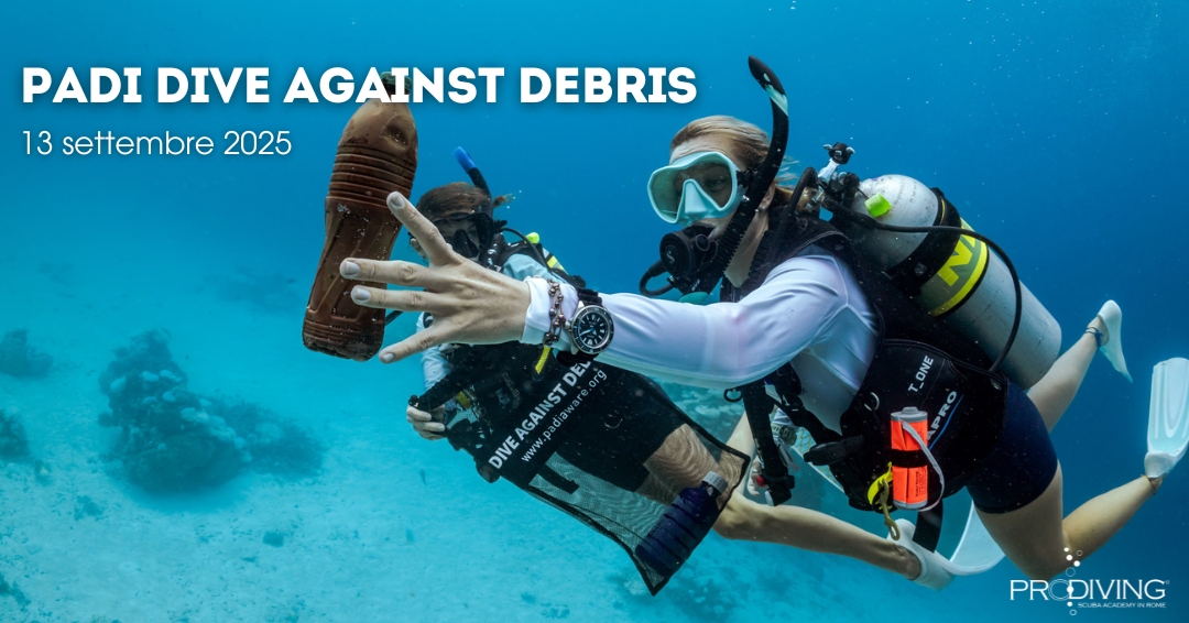 PADI DIVE AGAINST DEBRIS