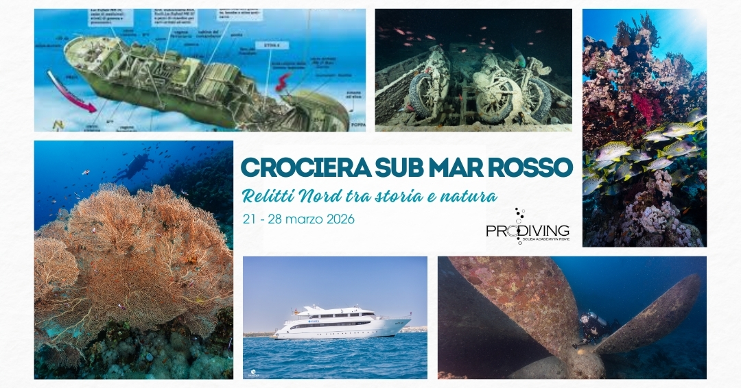 RELITTI NORD MAR ROSSO
