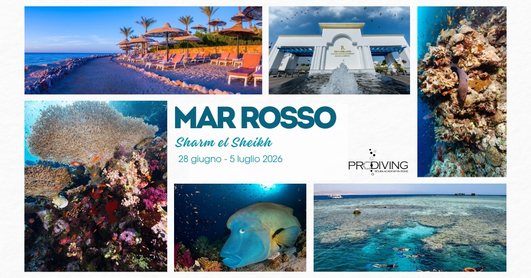 MAR ROSSO
